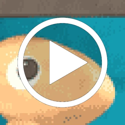 Preview of a GIF by skigothy